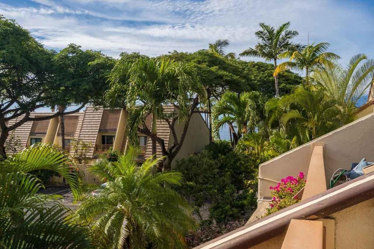 Apartament Tropical Maui Kamaole B-Bldg Wailea  Zewnętrze zdjęcie