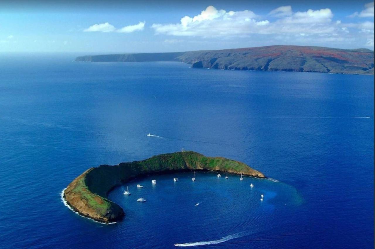 Apartament Tropical Maui Kamaole B-Bldg Wailea  Zewnętrze zdjęcie