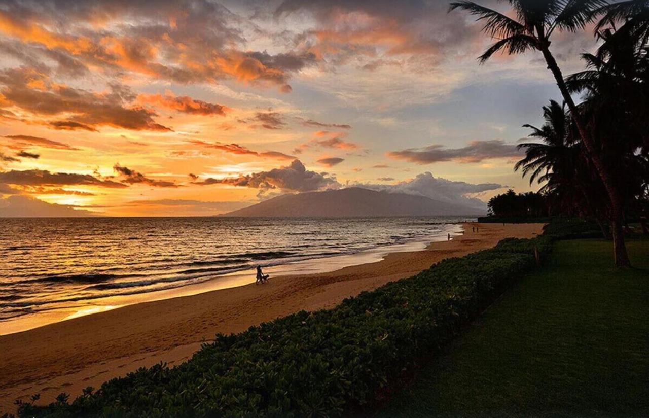 Apartament Tropical Maui Kamaole B-Bldg Wailea  Zewnętrze zdjęcie