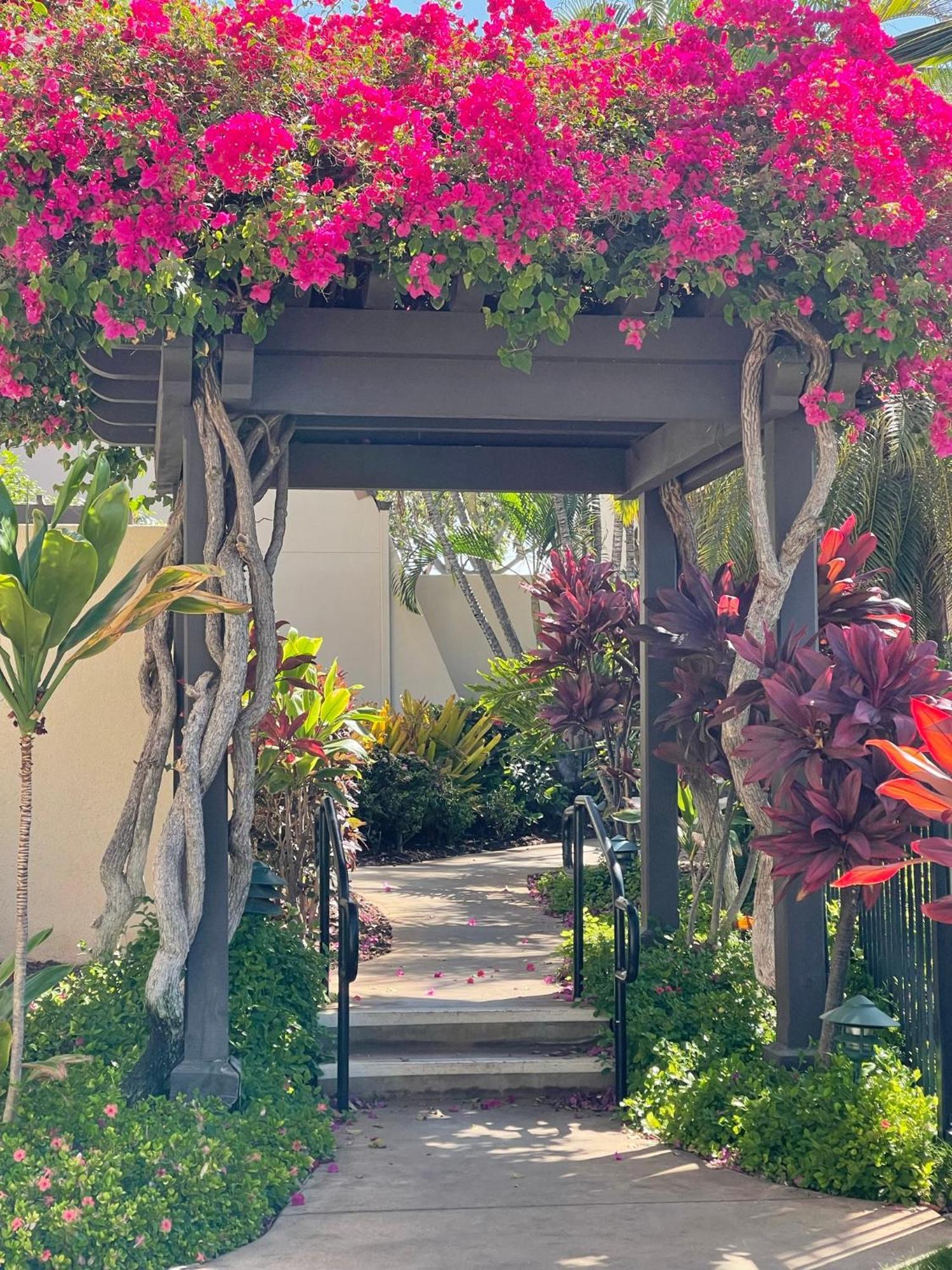 Apartament Tropical Maui Kamaole B-Bldg Wailea  Zewnętrze zdjęcie